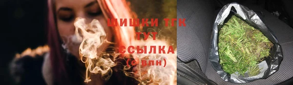 ПСИЛОЦИБИНОВЫЕ ГРИБЫ Абаза