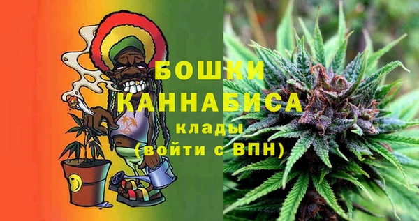 ПСИЛОЦИБИНОВЫЕ ГРИБЫ Абаза