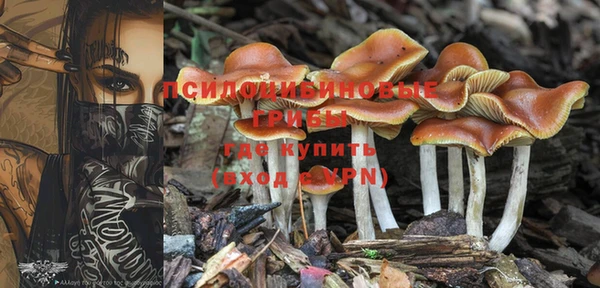 ECSTASY Пролетарск